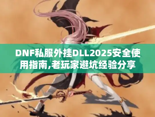 DNF私服外挂DLL2025安全使用指南,老玩家避坑经验分享