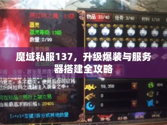 魔域私服137，升级爆装与服务器搭建全攻略