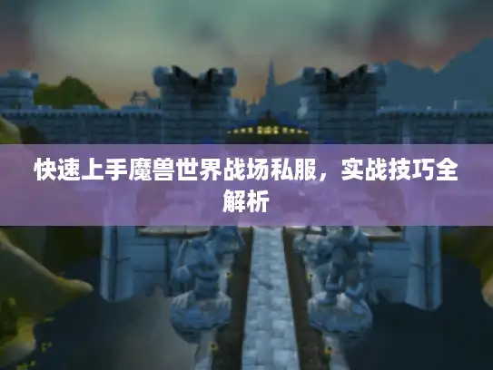 快速上手魔兽世界战场私服，实战技巧全解析
