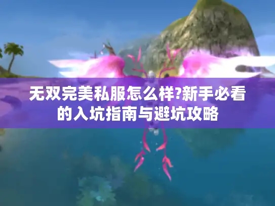 无双完美私服怎么样?新手必看的入坑指南与避坑攻略 无双完美私服怎么样?新手必看的入坑指南与避坑攻略