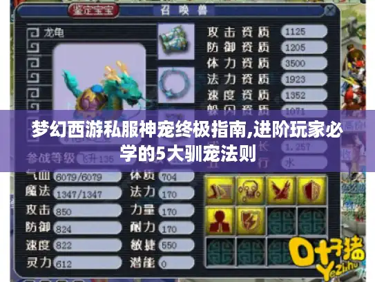 梦幻西游私服神宠终极指南,进阶玩家必学的5大驯宠法则