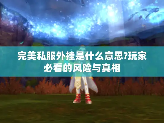 完美私服外挂是什么意思?玩家必看的风险与真相 完美私服外挂是什么意思?玩家必看的风险与真相