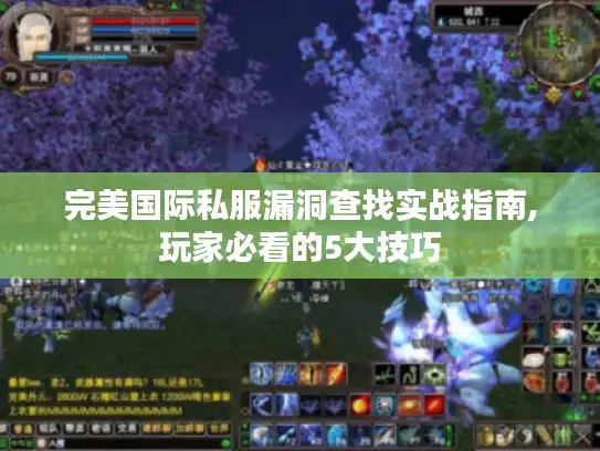 完美国际私服漏洞查找实战指南,玩家必看的5大技巧