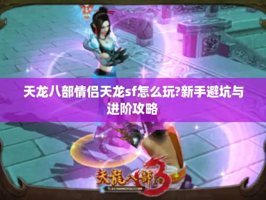 天龙八部情侣天龙sf怎么玩?新手避坑与进阶攻略