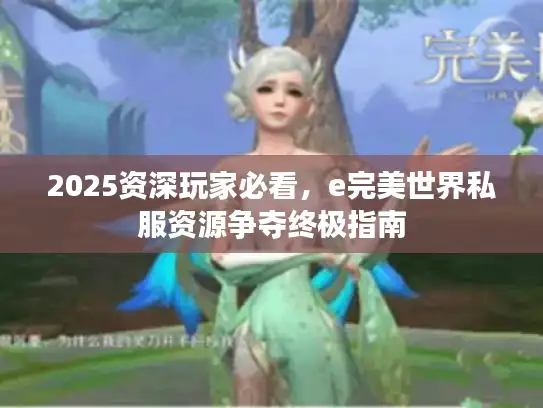2025资深玩家必看，e完美世界私服资源争夺终极指南