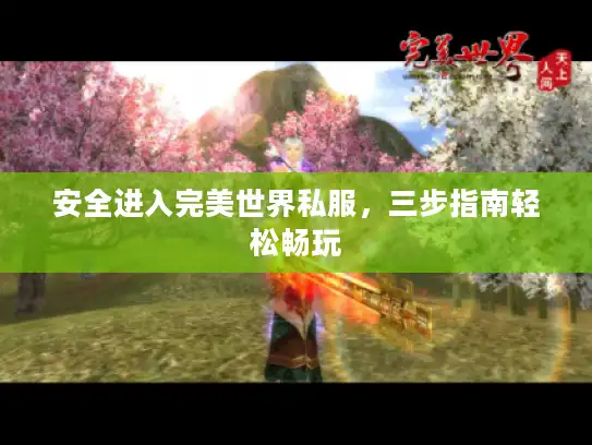 安全进入完美世界私服，三步指南轻松畅玩