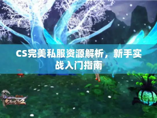 CS完美私服资源解析,新手实战入门指南 CS完美私服资源解析,新手实战入门指南