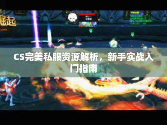 CS完美私服资源解析,新手实战入门指南 CS完美私服资源解析,新手实战入门指南