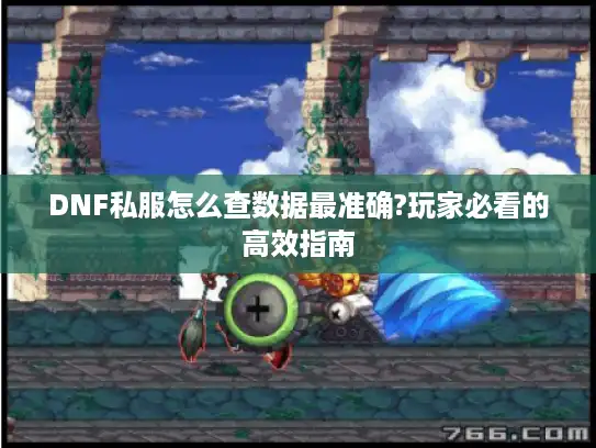 DNF私服怎么查数据最准确?玩家必看的高效指南