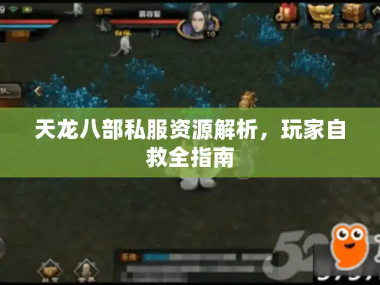 天龙八部私服资源解析，玩家自救全指南