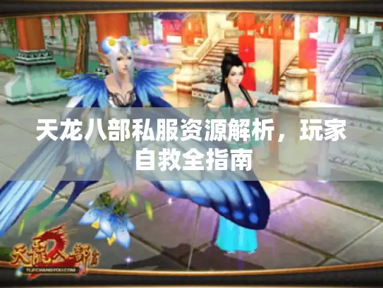 天龙八部私服资源解析，玩家自救全指南