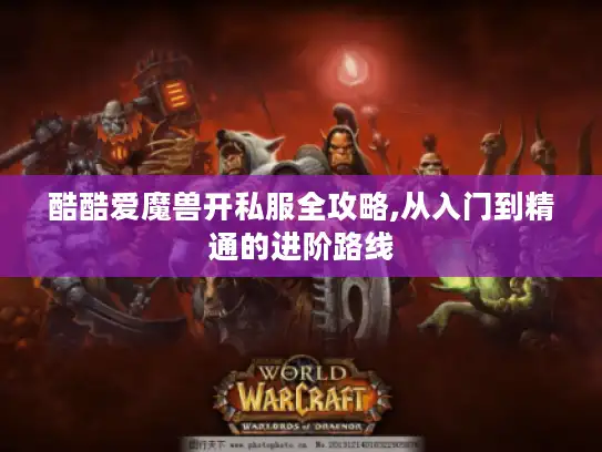 酷酷爱魔兽开私服全攻略,从入门到精通的进阶路线 酷酷爱魔兽开私服全攻略,从入门到精通的进阶路线