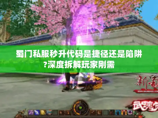 蜀门私服秒升代码是捷径还是陷阱?深度拆解玩家刚需