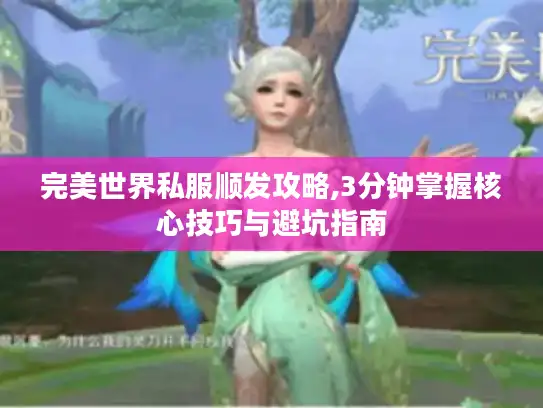 完美世界私服顺发攻略,3分钟掌握核心技巧与避坑指南