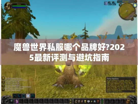 魔兽世界私服哪个品牌好?2025最新评测与避坑指南