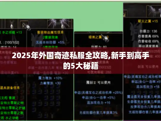 2025年外国奇迹私服全攻略,新手到高手的5大秘籍
