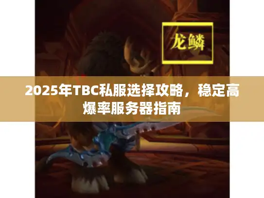 2025年TBC私服选择攻略，稳定高爆率服务器指南