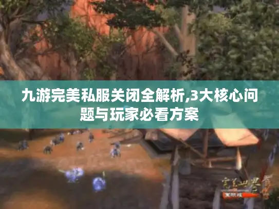 九游完美私服关闭全解析,3大核心问题与玩家必看方案