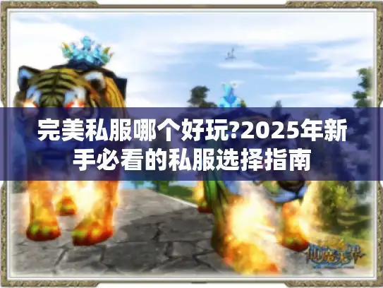 完美私服哪个好玩?2025年新手必看的私服选择指南