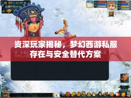 资深玩家揭秘，梦幻西游私服存在与安全替代方案