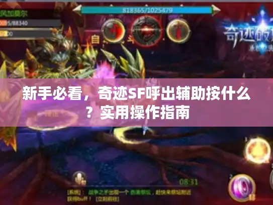 新手必看，奇迹SF呼出辅助按什么？实用操作指南