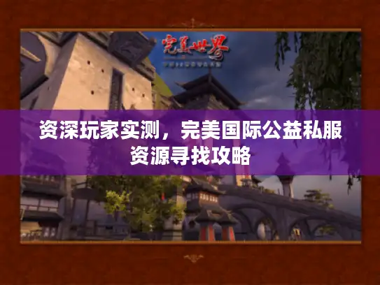 资深玩家实测，完美国际公益私服资源寻找攻略