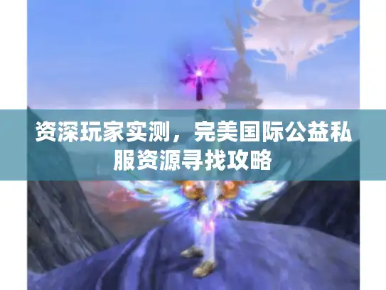 资深玩家实测，完美国际公益私服资源寻找攻略