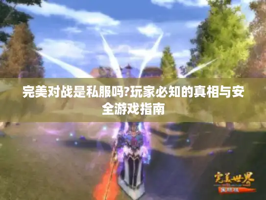 完美对战是私服吗?玩家必知的真相与安全游戏指南