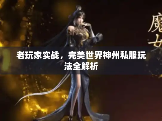 老玩家实战，完美世界神州私服玩法全解析