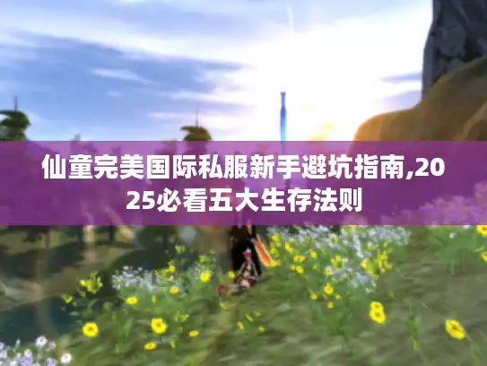 仙童完美国际私服新手避坑指南,2025必看五大生存法则