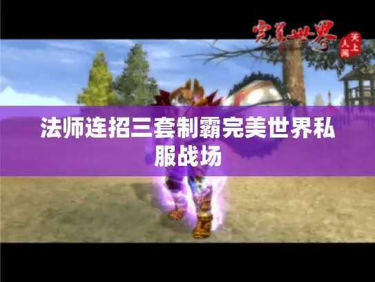 法师连招三套制霸完美世界私服战场