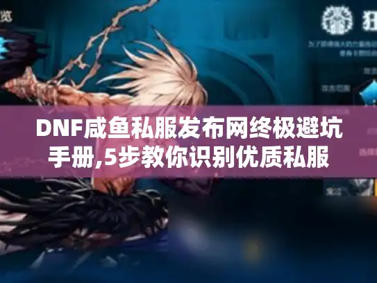 DNF咸鱼私服发布网终极避坑手册,5步教你识别优质私服