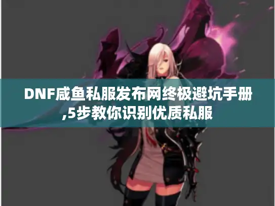 DNF咸鱼私服发布网终极避坑手册,5步教你识别优质私服