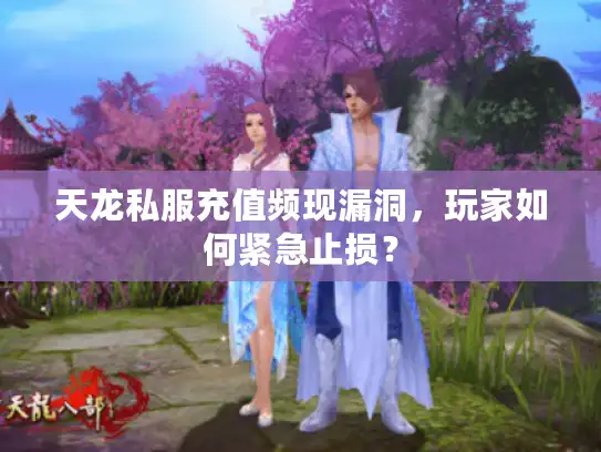 天龙私服充值频现漏洞,玩家如何紧急止损? 天龙私服充值频现漏洞,玩家如何紧急止损?