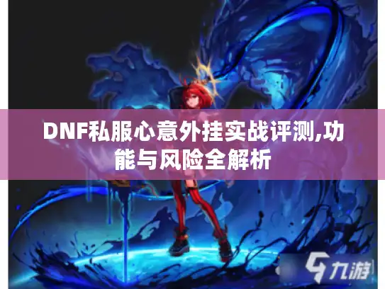 DNF私服心意外挂实战评测,功能与风险全解析