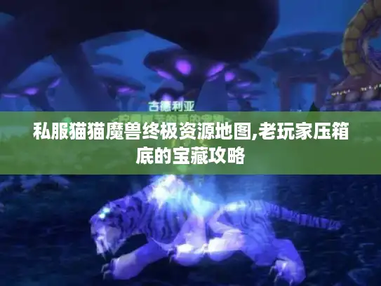 私服猫猫魔兽终极资源地图,老玩家压箱底的宝藏攻略