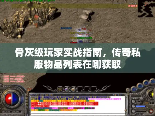 骨灰级玩家实战指南，传奇私服物品列表在哪获取