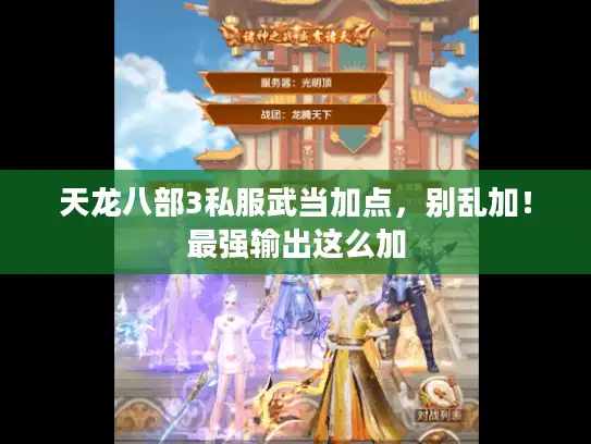 天龙八部3私服武当加点，别乱加！最强输出这么加