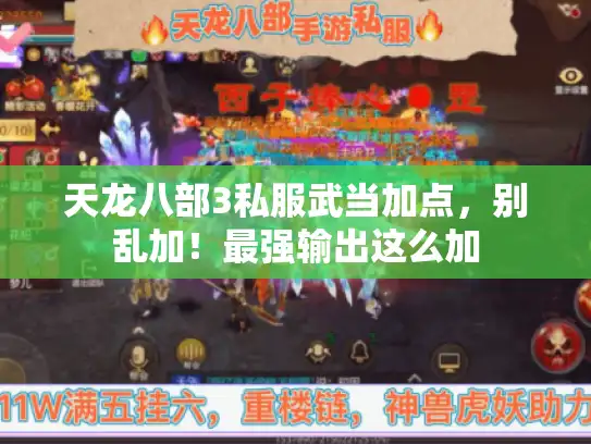 天龙八部3私服武当加点，别乱加！最强输出这么加