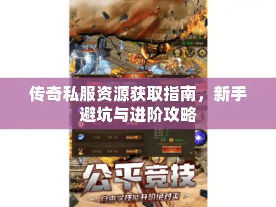 传奇私服资源获取指南，新手避坑与进阶攻略