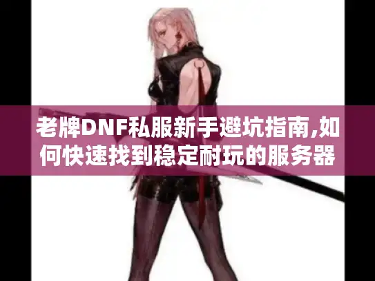 老牌DNF私服新手避坑指南,如何快速找到稳定耐玩的服务器?