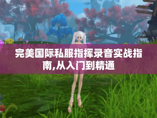 完美国际私服指挥录音实战指南,从入门到精通