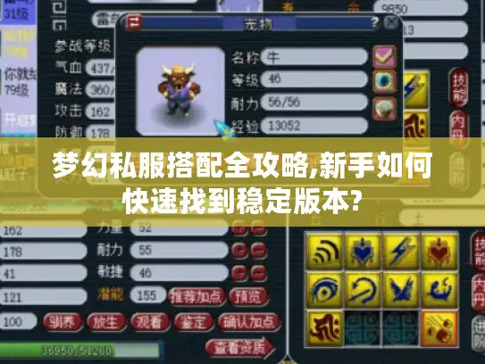 梦幻私服搭配全攻略,新手如何快速找到稳定版本?