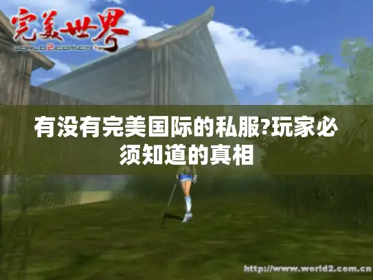 有没有完美国际的私服?玩家必须知道的真相