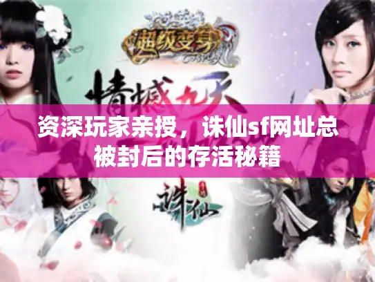 资深玩家亲授,诛仙sf网址总被封后的存活秘籍 资深玩家亲授,诛仙sf网址总被封后的存活秘籍