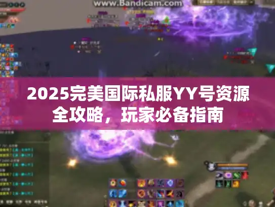 2025完美国际私服YY号资源全攻略，玩家必备指南