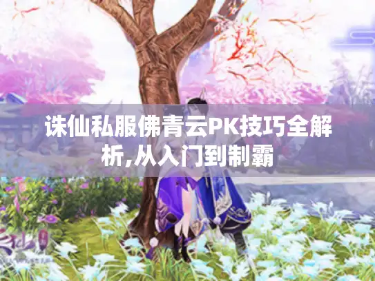 诛仙私服佛青云PK技巧全解析,从入门到制霸 诛仙私服佛青云PK技巧全解析,从入门到制霸
