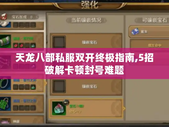 天龙八部私服双开终极指南,5招破解卡顿封号难题