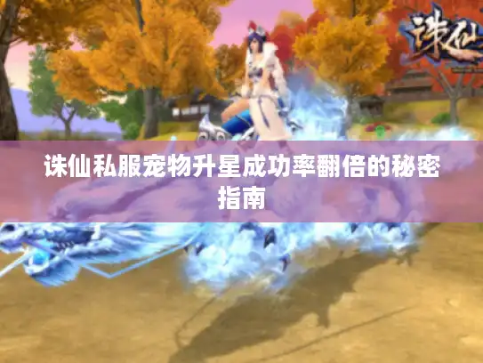诛仙私服宠物升星成功率翻倍的秘密指南