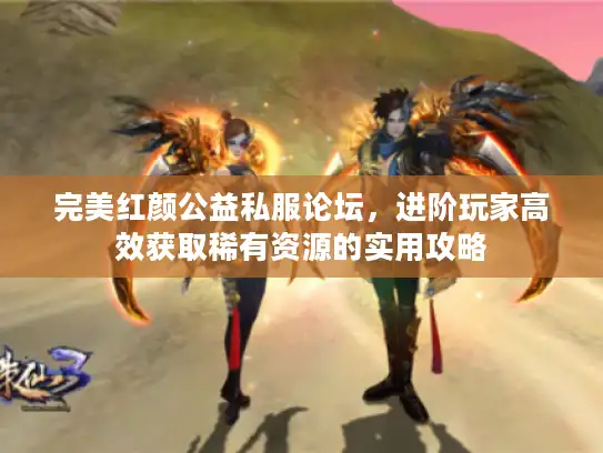 完美红颜公益私服论坛，进阶玩家高效获取稀有资源的实用攻略